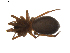  ( - BIOUG01894-G04)  @12 [ ] Copyright  G. Blagoev 2011 Unspecified