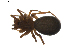  ( - BIOUG01894-G05)  @12 [ ] Copyright  G. Blagoev 2011 Unspecified