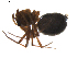  ( - BIOUG01894-G06)  @11 [ ] Copyright  G. Blagoev 2011 Unspecified