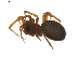  ( - BIOUG01894-G07)  @12 [ ] Copyright  G. Blagoev 2011 Unspecified