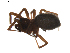  ( - BIOUG01895-F02)  @12 [ ] Copyright  G. Blagoev 2011 Unspecified