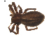  ( - BIOUG01895-F05)  @12 [ ] Copyright  G. Blagoev 2011 Unspecified