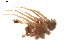 ( - BIOUG01896-G07)  @12 [ ] Copyright  G. Blagoev 2011 Unspecified