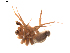  ( - BIOUG01896-G08)  @12 [ ] Copyright  G. Blagoev 2011 Unspecified