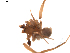  ( - BIOUG01896-G09)  @12 [ ] Copyright  G. Blagoev 2011 Unspecified