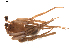  ( - BIOUG01896-G12)  @12 [ ] Copyright  G. Blagoev 2011 Unspecified