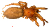  ( - BIOUG01971-B01)  @12 [ ] Copyright  G. Blagoev 2012 Unspecified