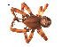  (Araneus yukon - BIOUG00178-C12)  @14 [ ] Copyright  G. Blagoev 2010 Unspecified