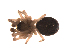  ( - BIOUG00200-A05)  @12 [ ] Copyright  G. Blagoev 2010 Unspecified