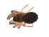 ( - BIOUG00200-A06)  @13 [ ] Copyright  G. Blagoev 2010 Unspecified