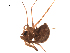  ( - BIOUG00200-D02)  @12 [ ] Copyright  G. Blagoev 2010 Unspecified
