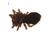  ( - BIOUG00200-D09)  @12 [ ] Copyright  G. Blagoev 2010 Unspecified