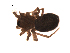  ( - BIOUG00200-D11)  @12 [ ] Copyright  G. Blagoev 2010 Unspecified