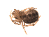  ( - BIOUG00200-G03)  @12 [ ] Copyright  G. Blagoev 2010 Unspecified