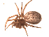  ( - BIOUG00604-G03)  @12 [ ] Copyright  G. Blagoev 2010 Unspecified