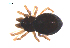  ( - BIOUG36524-C04)  @11 [ ] CreativeCommons - Attribution (2018) G. Blagoev Centre for Biodiversity Genomics