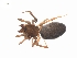  ( - BIOUG36524-G01)  @11 [ ] CreativeCommons - Attribution (2018) G. Blagoev Centre for Biodiversity Genomics