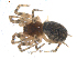  ( - BIOUG00039-B06)  @13 [ ] Copyright  G. Blagoev 2010 Unspecified
