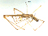  ( - BIOUG00633-G11)  @13 [ ] CC-0  G. Blagoev 2011 Unspecified
