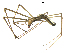  ( - BIOUG00633-H10)  @14 [ ] CC-0  G. Blagoev 2011 Unspecified