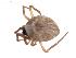  ( - BIOUG00886-D05)  @12 [ ] CC-0  G. Blagoev 2011 Unspecified
