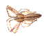  ( - BIOUG00889-G05)  @13 [ ] Copyright  G. Blagoev 2012 Unspecified