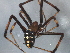  ( - BIOUG12605-A01)  @13 [ ] CreativeCommons - Attribution (2014) CBG Photography Group Centre for Biodiversity Genomics