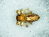  ( - Hydo NCA 2021 1050 F)  @11 [ ] Creative Commons  Attribution Share-Alike (by-sa) (2021) Charles Haddad University of the Free State