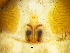  ( - Xesp F NCA 2021 522)  @11 [ ] Creative Commons  Attribution Share-Alike (by-sa) (2021) Charles Haddad University of the Free State