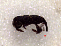  ( - SCU179)  @12 [ ] CreativeCommons - Attribution Share-Alike (2016) Unspecified Sunchon University