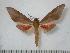  ( - BC-Basq0158)  @13 [ ] Copyright (2010) Unspecified Research Collection of Patrick Basquin