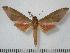  ( - BC-Basq0159)  @14 [ ] Copyright (2010) Unspecified Research Collection of Patrick Basquin