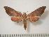  ( - BC-Basq0192)  @14 [ ] Copyright (2010) Unspecified Research Collection of Patrick Basquin