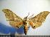  ( - BC-Basq 2004)  @14 [ ] Copyright (2010) Unspecified Research Collection of Patrick Basquin