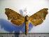  ( - BC-Basq 2014)  @13 [ ] Copyright (2010) Unspecified Research Collection of Patrick Basquin