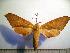  ( - BC-Basq 2015)  @14 [ ] Copyright (2010) Unspecified Research Collection of Patrick Basquin