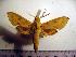  ( - BC-Basq 2061)  @13 [ ] Copyright (2010) Unspecified Research Collection of Patrick Basquin