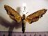  ( - BC-Basq 2066)  @14 [ ] Copyright (2010) Unspecified Research Collection of Patrick Basquin