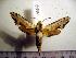  ( - BC-Basq 2067)  @13 [ ] Copyright (2010) Unspecified Research Collection of Patrick Basquin