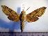  ( - BC-Basq 2073)  @13 [ ] Copyright (2010) Unspecified Research Collection of Patrick Basquin
