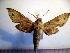  ( - BC-Basq 2075)  @13 [ ] Copyright (2010) Unspecified Research Collection of Patrick Basquin
