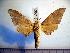  ( - BC-Basq 2100)  @13 [ ] Copyright (2010) Unspecified Research Collection of Patrick Basquin