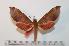  ( - BC-Basq 2149)  @14 [ ] Copyright (2010) Unspecified Research Collection of Patrick Basquin