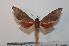  ( - BC-Basq 2151)  @14 [ ] Copyright (2010) Unspecified Research Collection of Patrick Basquin