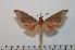  ( - BC-Basq 2152)  @14 [ ] Copyright (2010) Unspecified Research Collection of Patrick Basquin