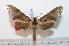  ( - BC-Basq 2158)  @13 [ ] Copyright (2010) Unspecified Research Collection of Patrick Basquin