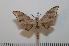  ( - BC-Basq 2168)  @14 [ ] Copyright (2010) Unspecified Research Collection of Patrick Basquin