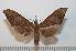  ( - BC-Basq 2169)  @12 [ ] Copyright (2010) Unspecified Research Collection of Patrick Basquin