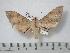  ( - BC-Basq0223)  @13 [ ] Copyright (2010) Unspecified Research Collection of Patrick Basquin