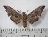  ( - BC-Basq0244)  @14 [ ] Copyright (2010) Unspecified Research Collection of Patrick Basquin